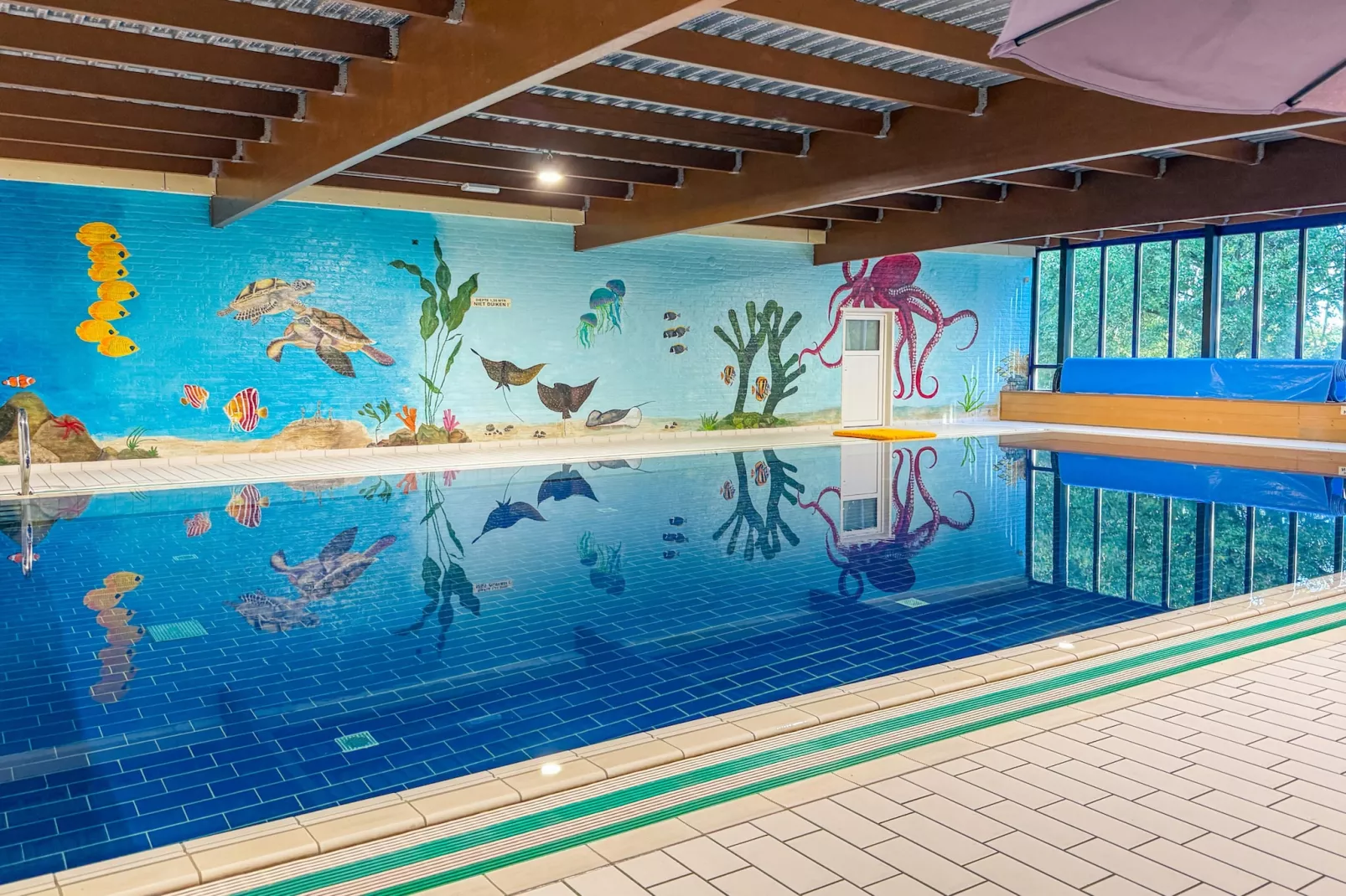 7 - Persoons Forest 217 Sauna Bungalow (copy) (copy) (copy) - Swimming pool