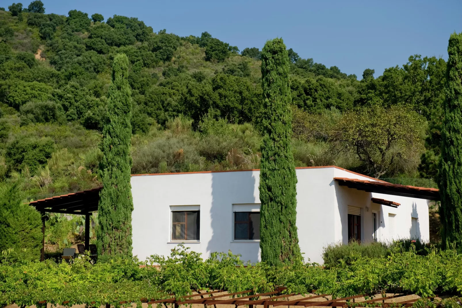 Casa Gialla - Exterior in summer