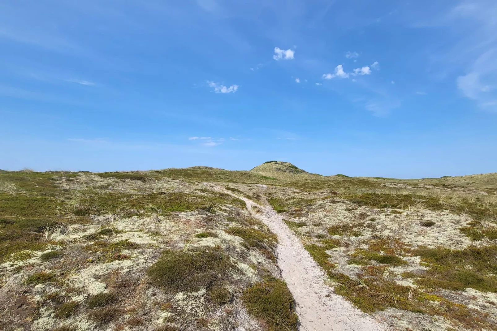 4 Personen Ferienhaus in Thisted-By Traum - Nicht zugeordnet