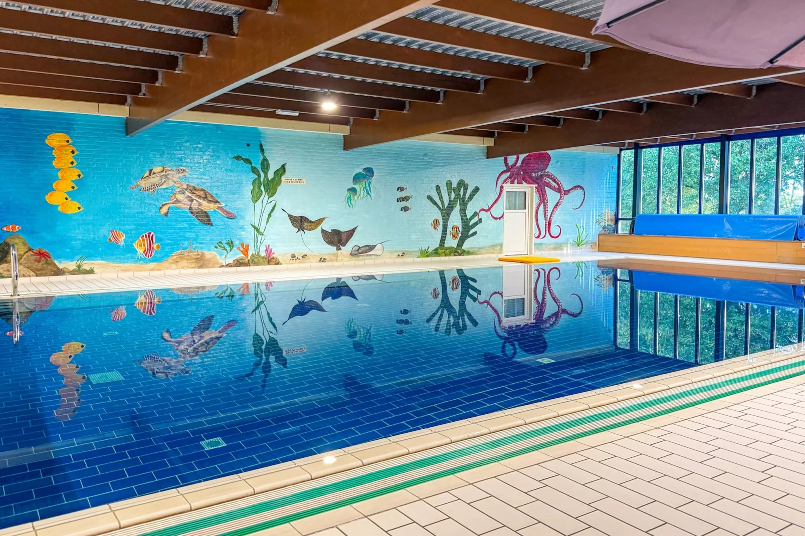 7 - Persoons Forest 217 Sauna Bungalow (copy) (copy) (copy) - Piscine