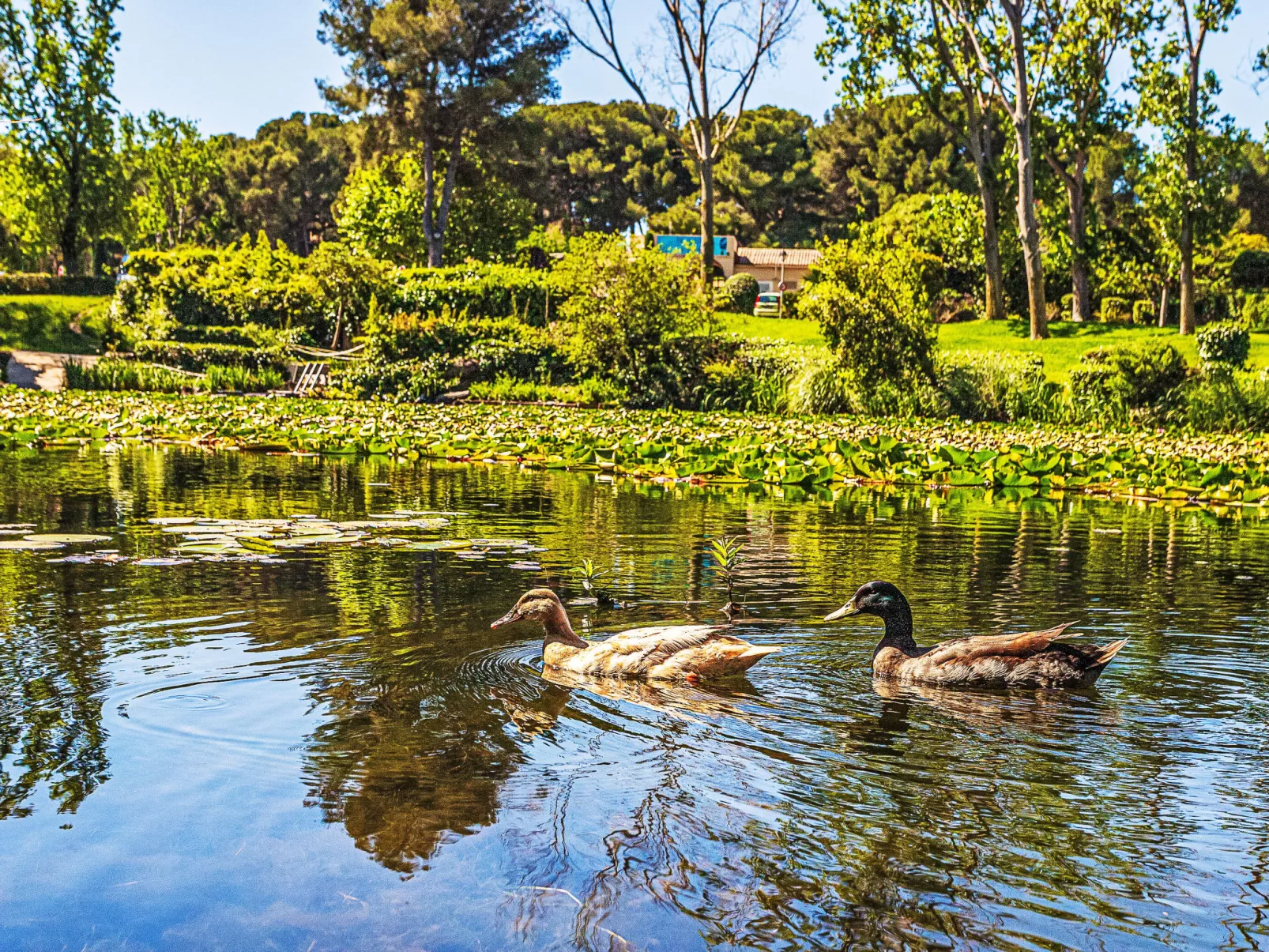 Le Luberon Loisirs - Dehors