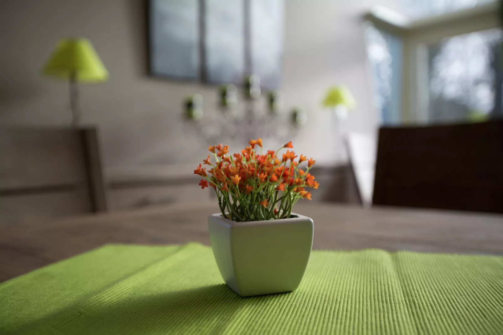 Villa Normand - Ambiance