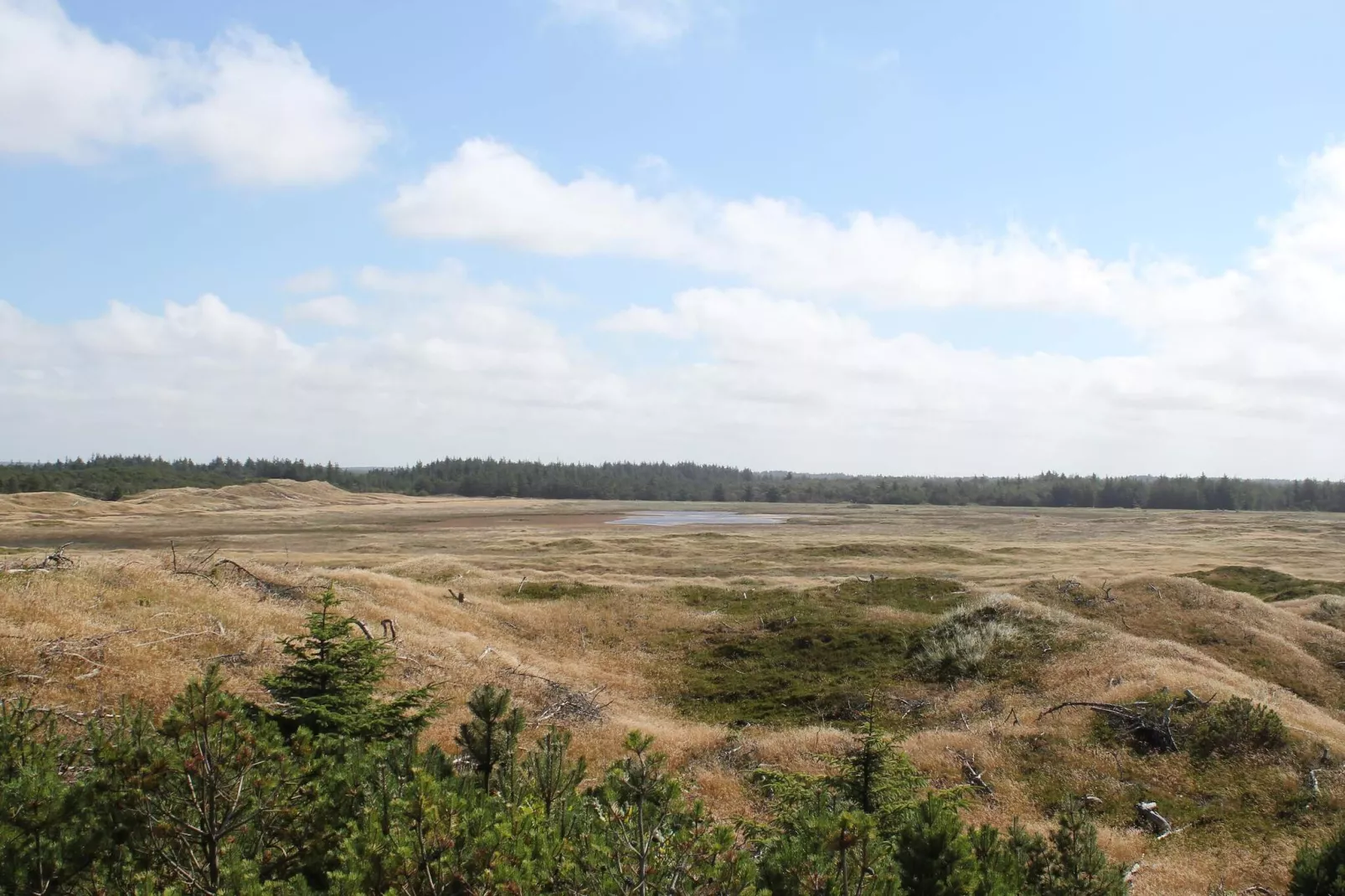 4 Personen Ferienhaus in Thisted-By Traum - Nicht zugeordnet