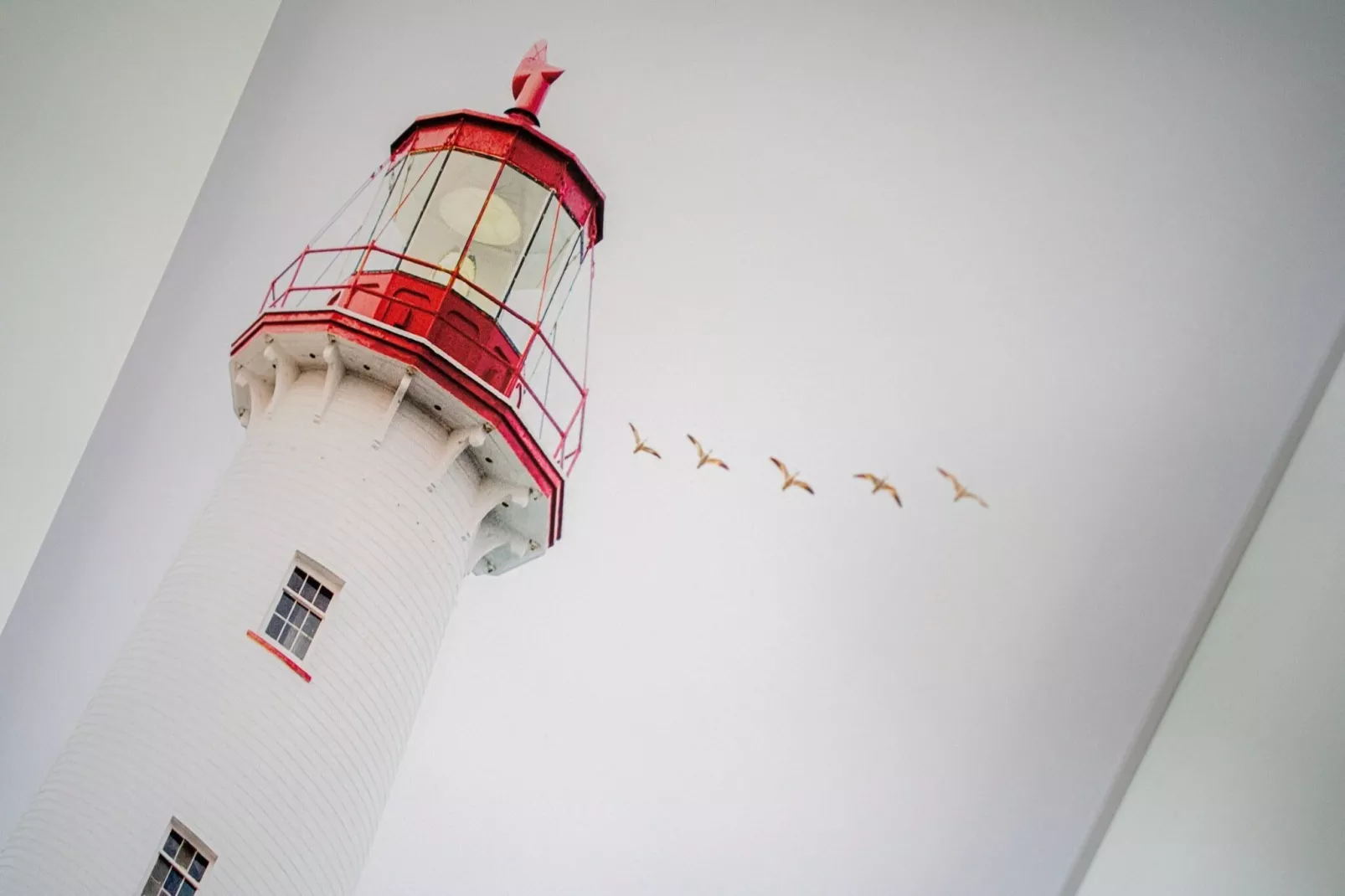 Ferienwohnung Feldlerche St Peter-Ording - Areas within 1km in summer