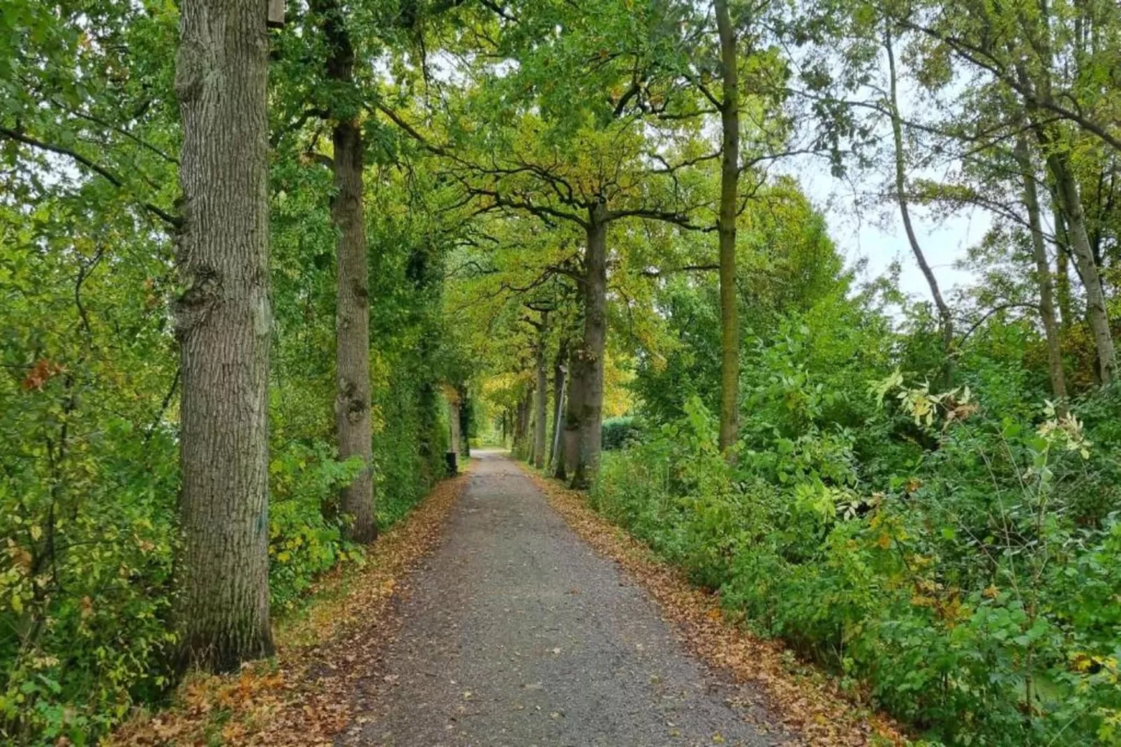 Vakantiepark 't Broeckhuys 7 - Gebiete Sommer 20 km