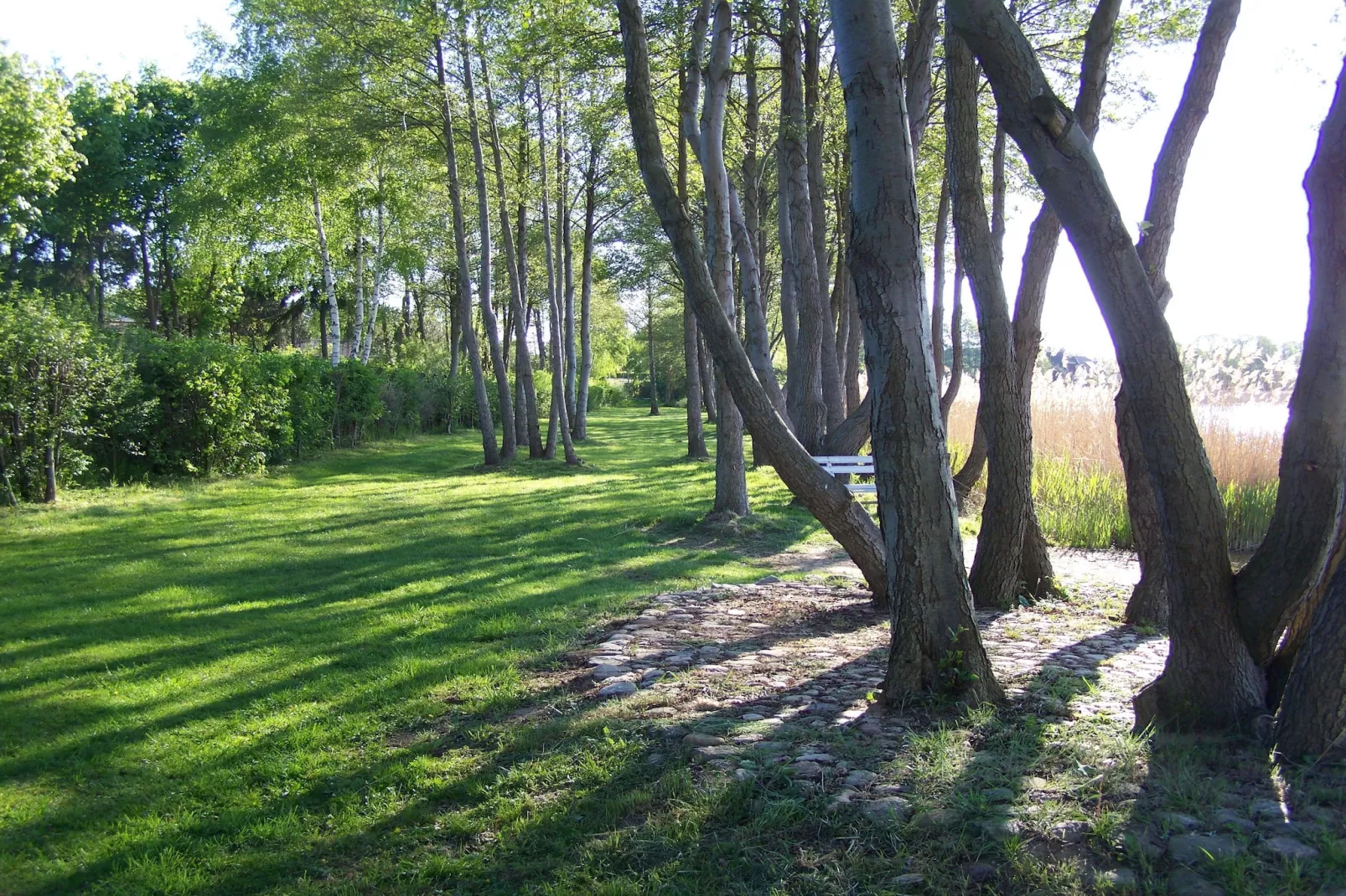 Fewo 02 6 P OG - Gebiete Sommer 1 km