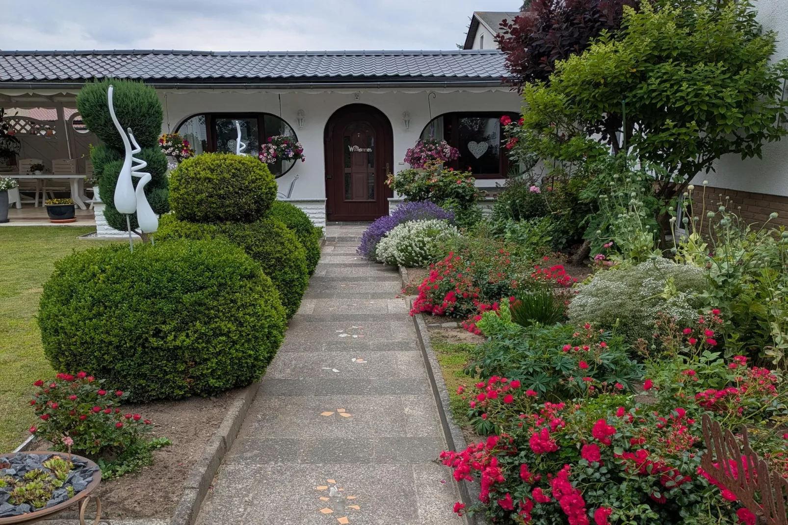 Sommerrose - Garten Sommer