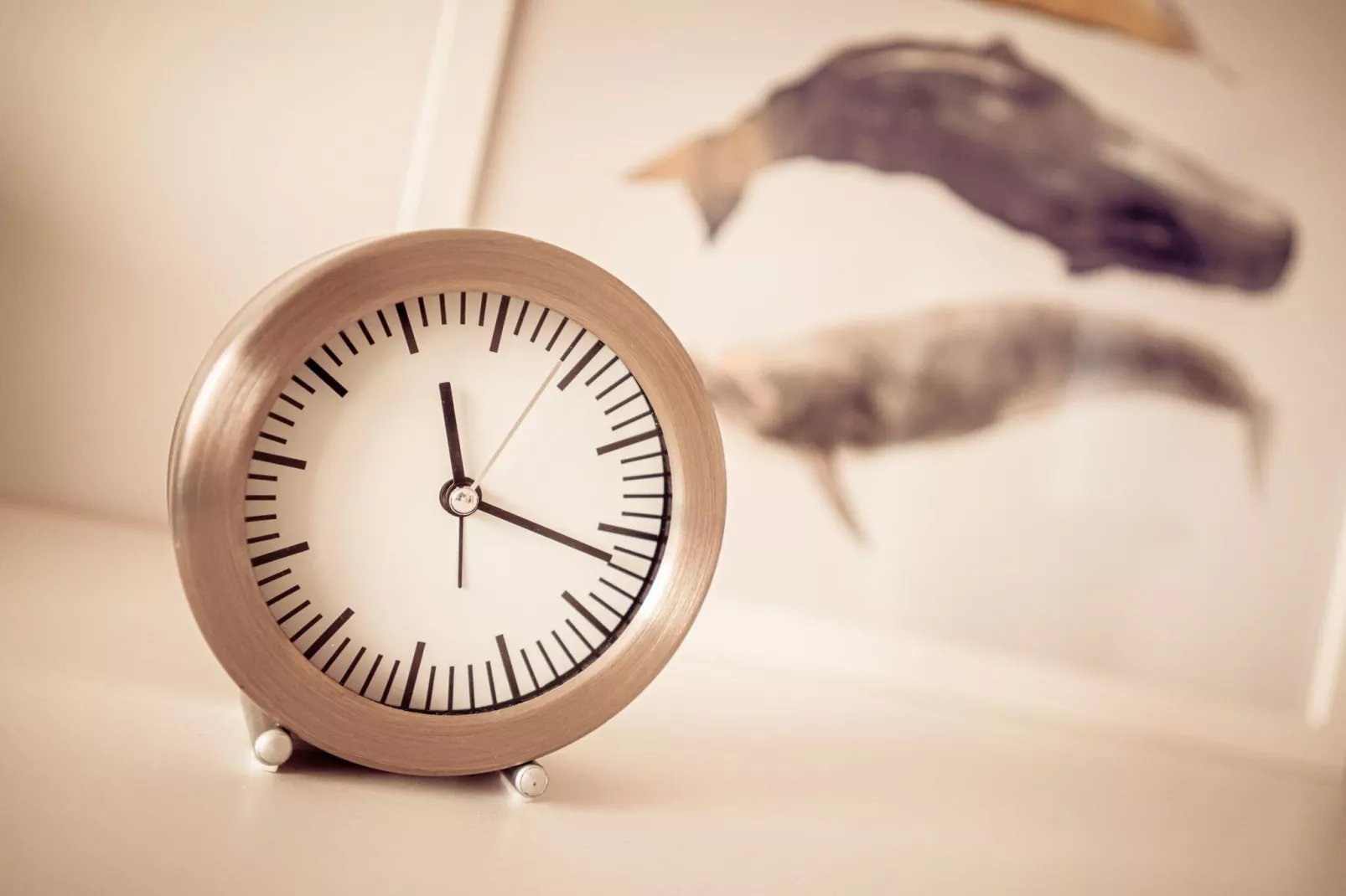 Ferienwohnung Feldlerche St Peter-Ording - Ambiance