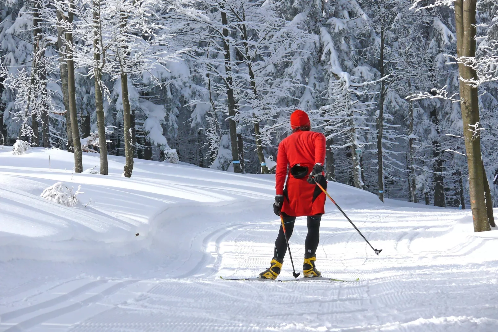 Typ A Standard - Bernhard J15 - Zones hiver à 5 km