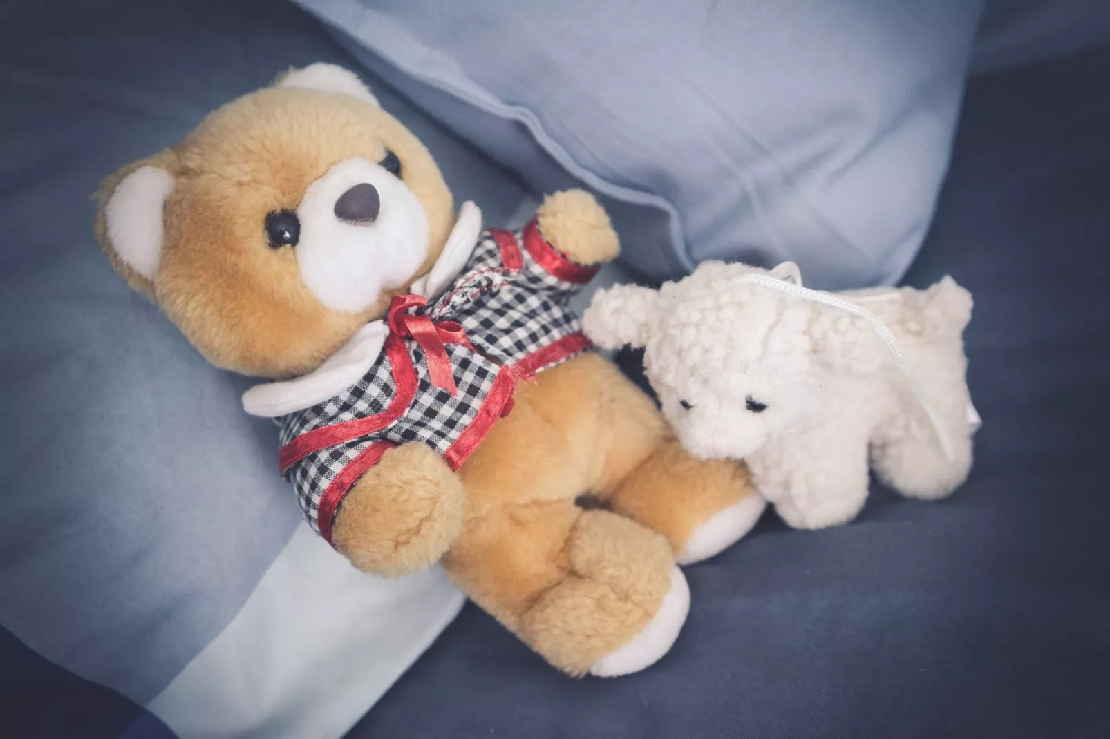 Ferienwohnung Feldlerche St Peter-Ording - Ambiance