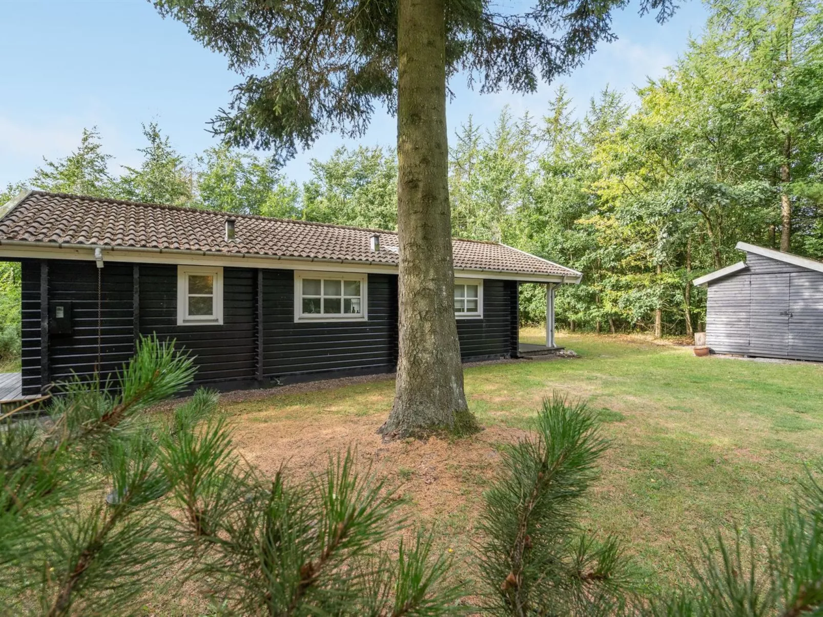 "Iulger" - 30km from the sea - Draußen