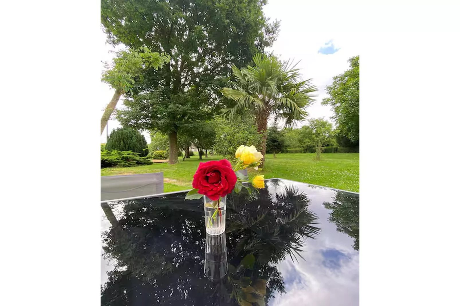 Gîte l'Armor  Jacuzzi terrasse privée cuisine - Garten Sommer