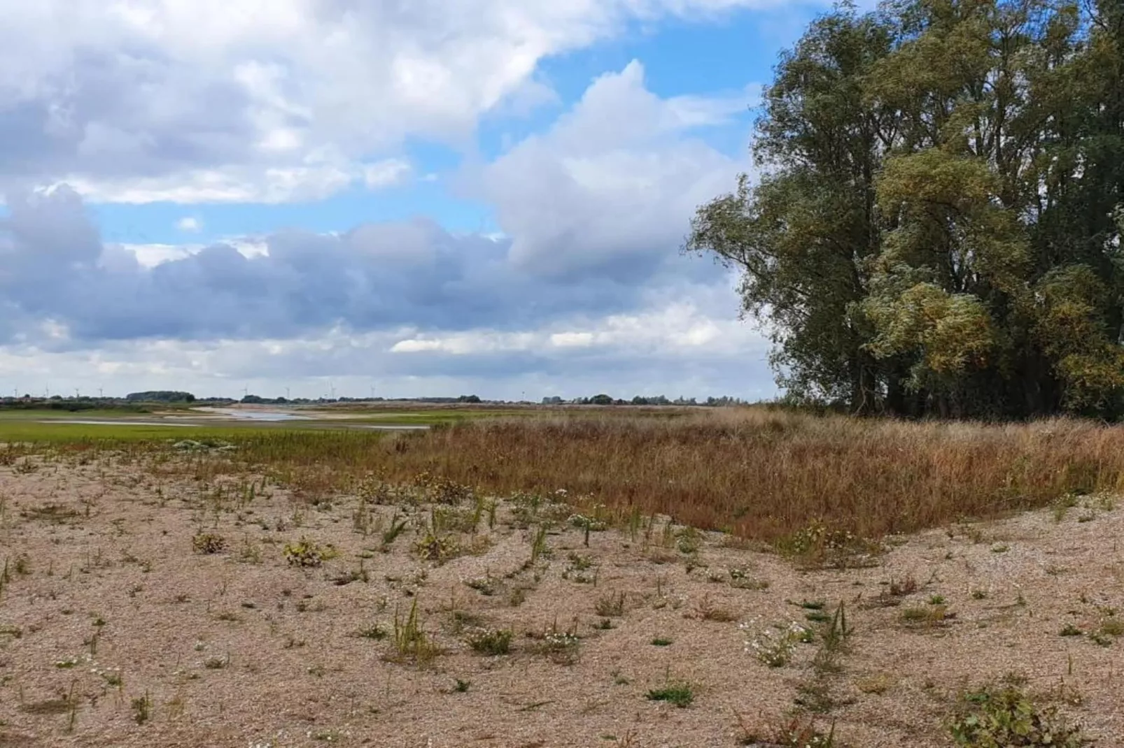 Vakantiepark 't Broeckhuys 6 - Gebiete Sommer 20 km
