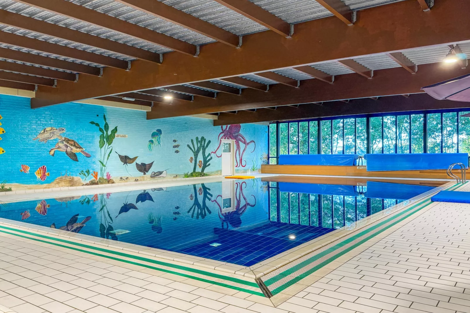 7 - Persoons Forest 217 Sauna Bungalow (copy) (copy) (copy) - Piscine
