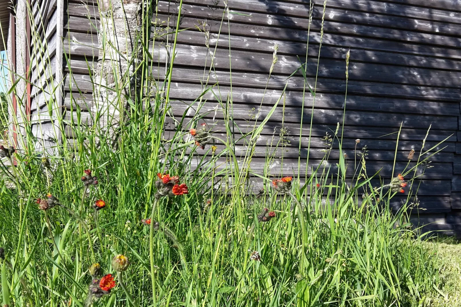 Zuckerbauernhof Weideblick - Jardins en été
