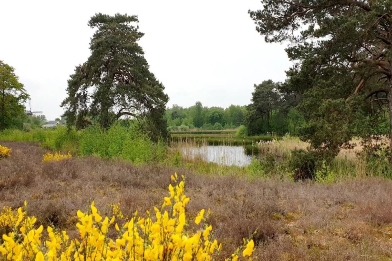 Vakantiepark 't Broeckhuys 7 - Gebiete Sommer 20 km