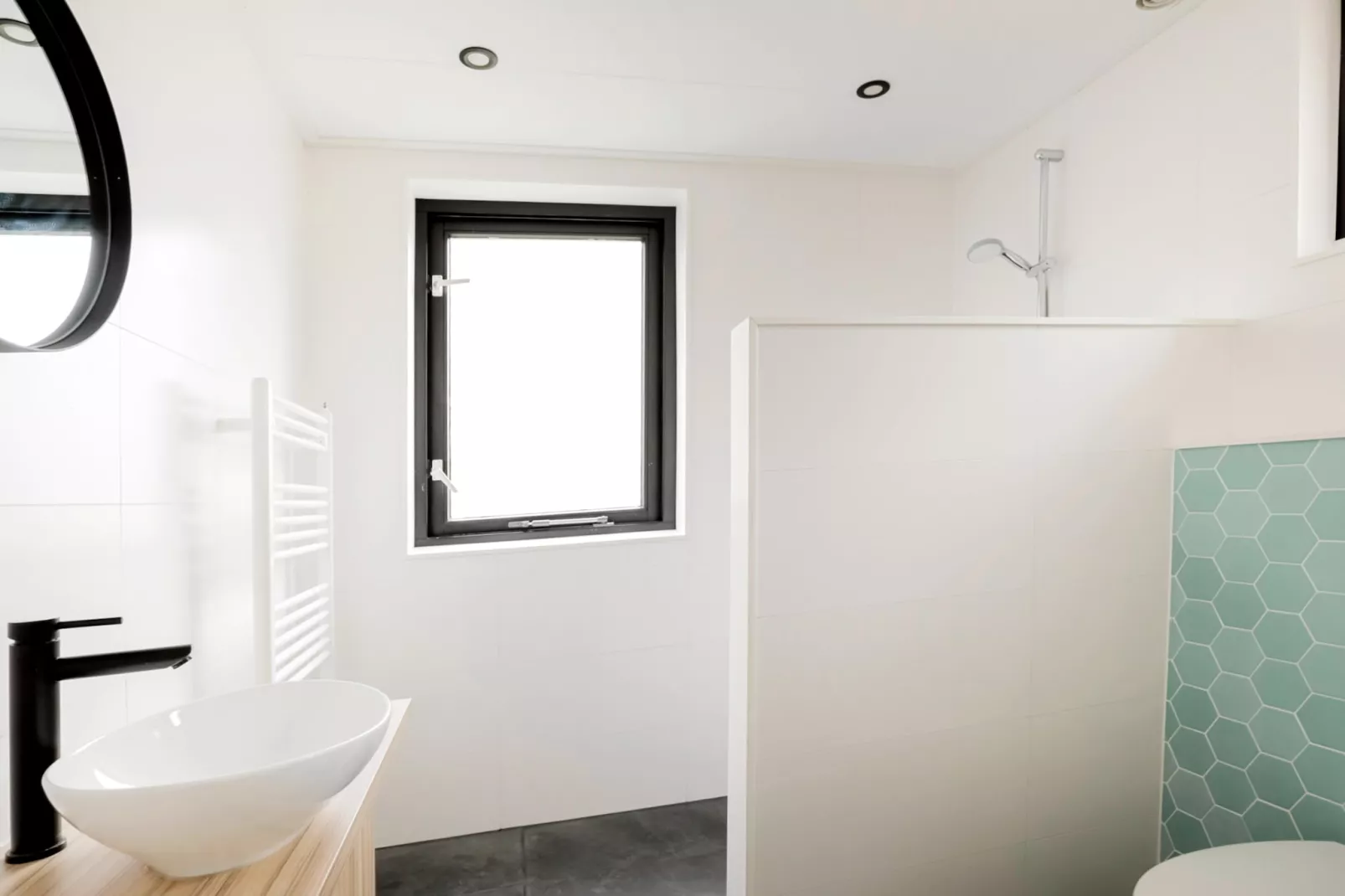 7 - Persoons Forest 217 Sauna Bungalow (copy) (copy) (copy) (copy) - Bathroom