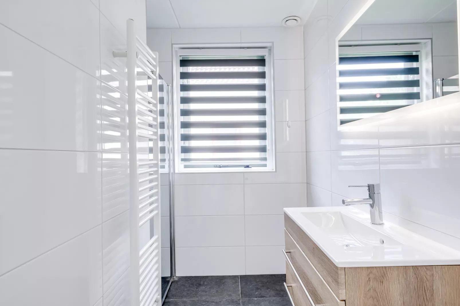 7 - Persoons Forest 217 Sauna Bungalow (copy) (copy) (copy) (copy) - Salle de bain
