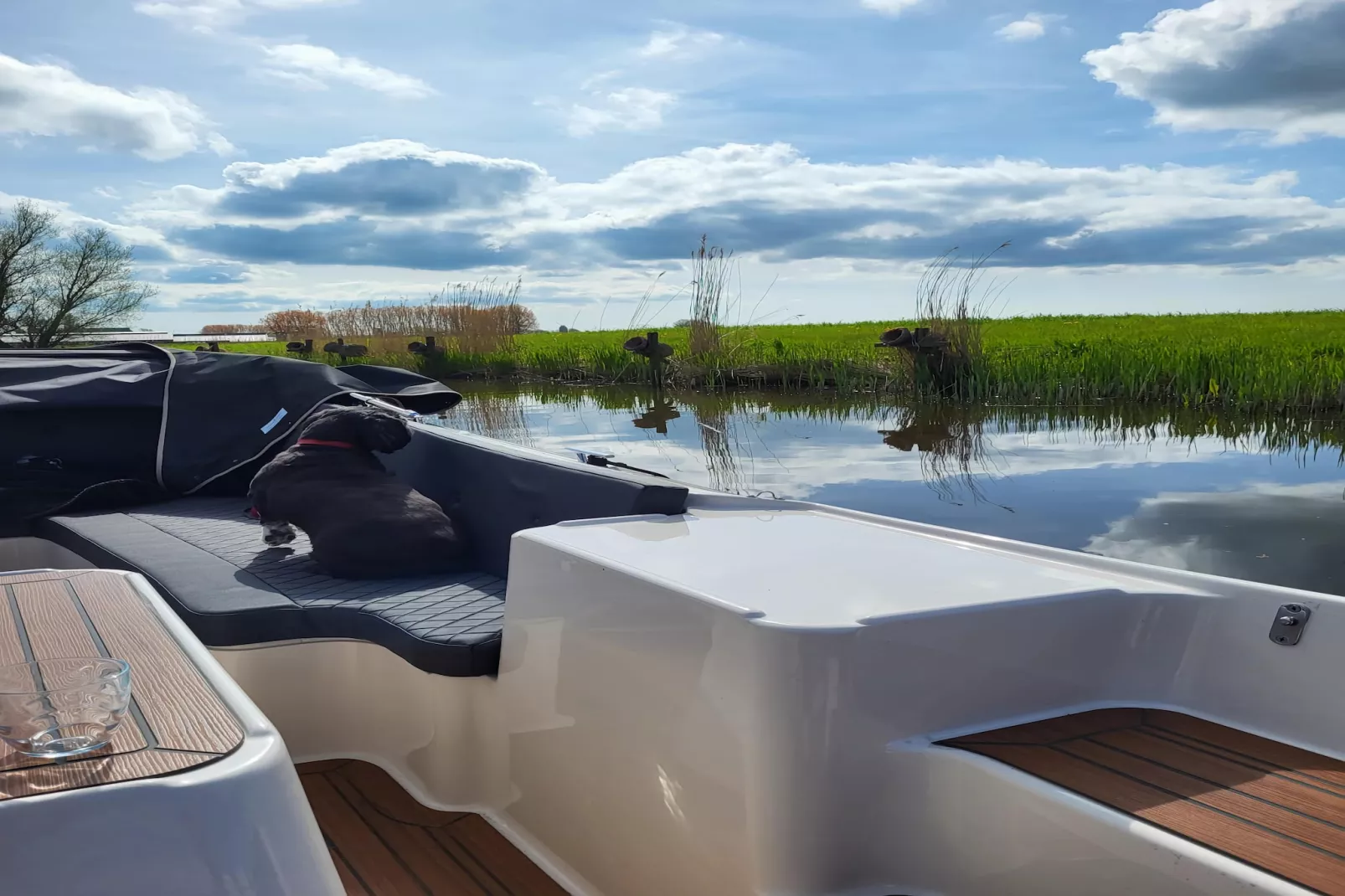 Moderne villa op het Friese platteland - Terrace balcony