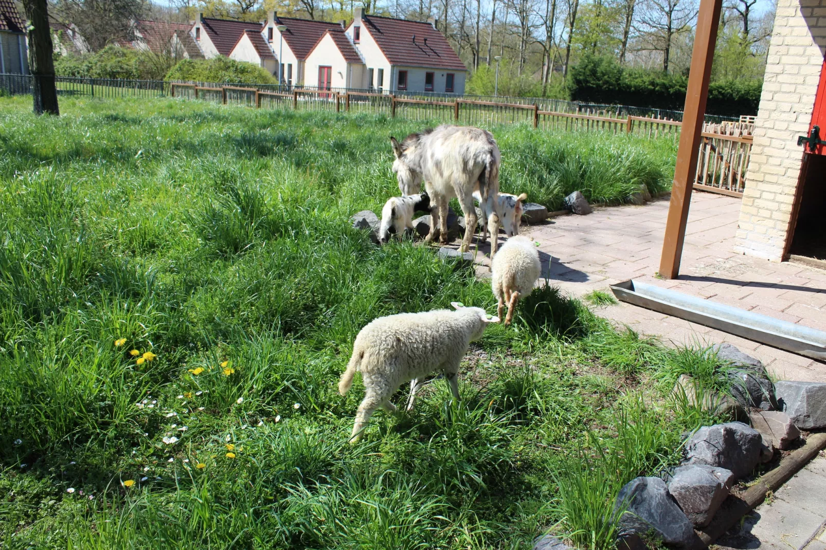 Vakantiepark 't Broeckhuys 1 - Parkeinrichtungen