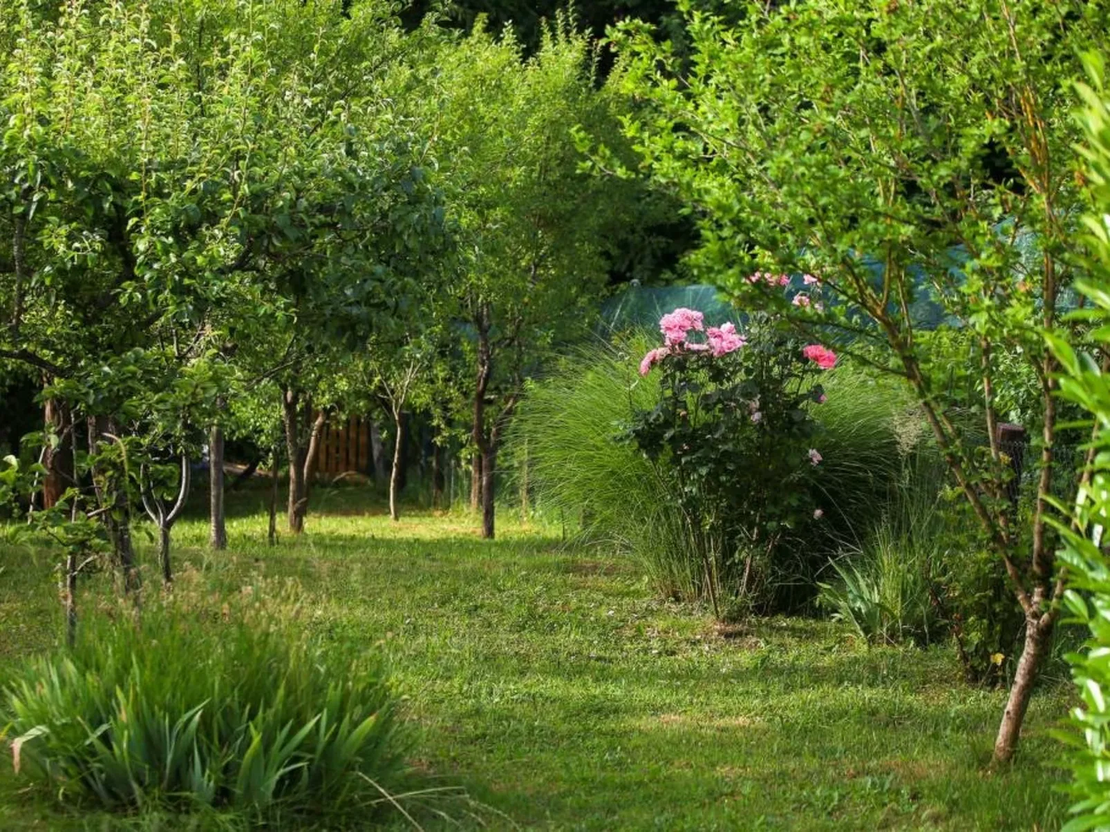 House Villavera - Outside