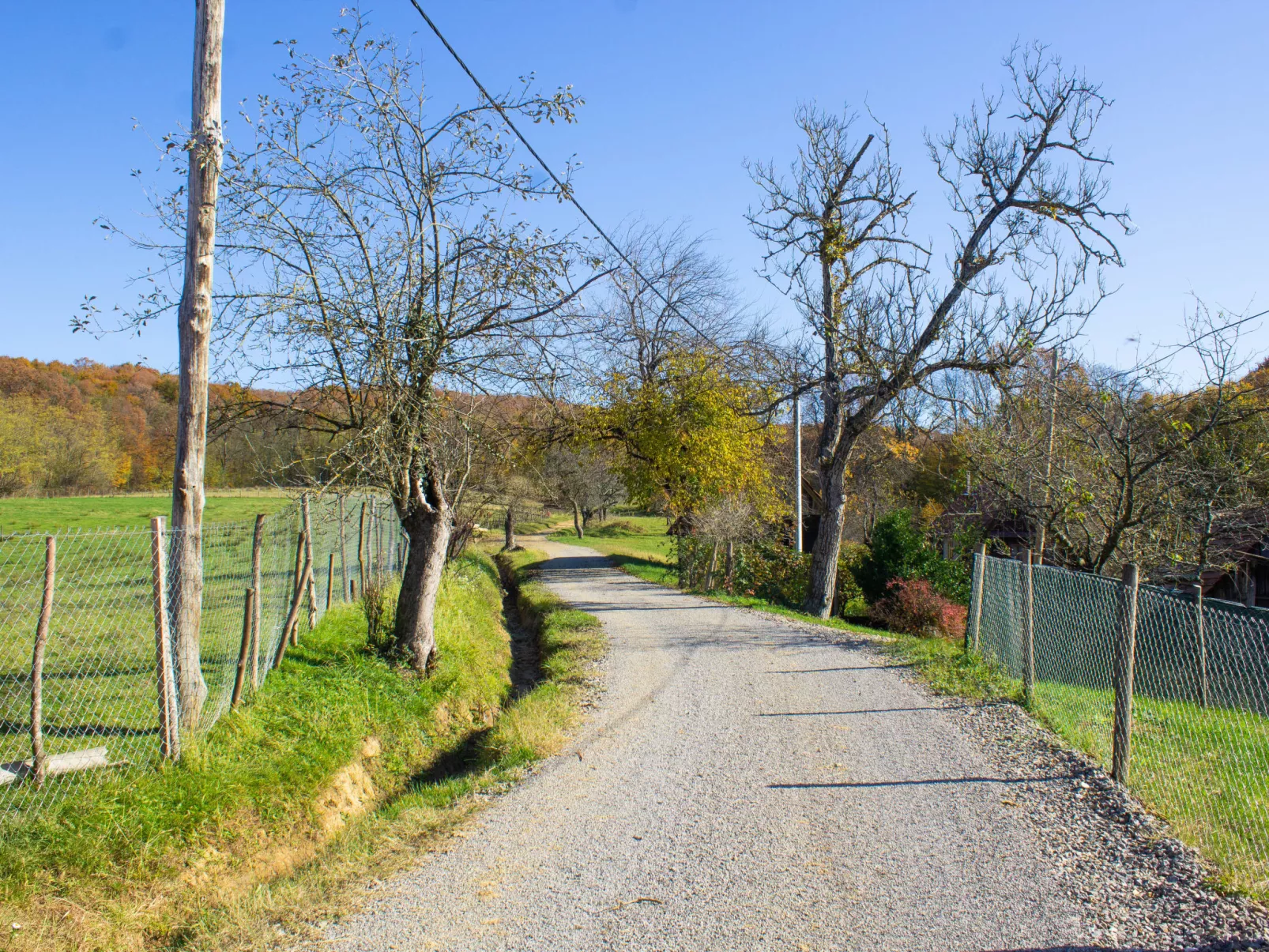 House Aurora Silvae - Outside