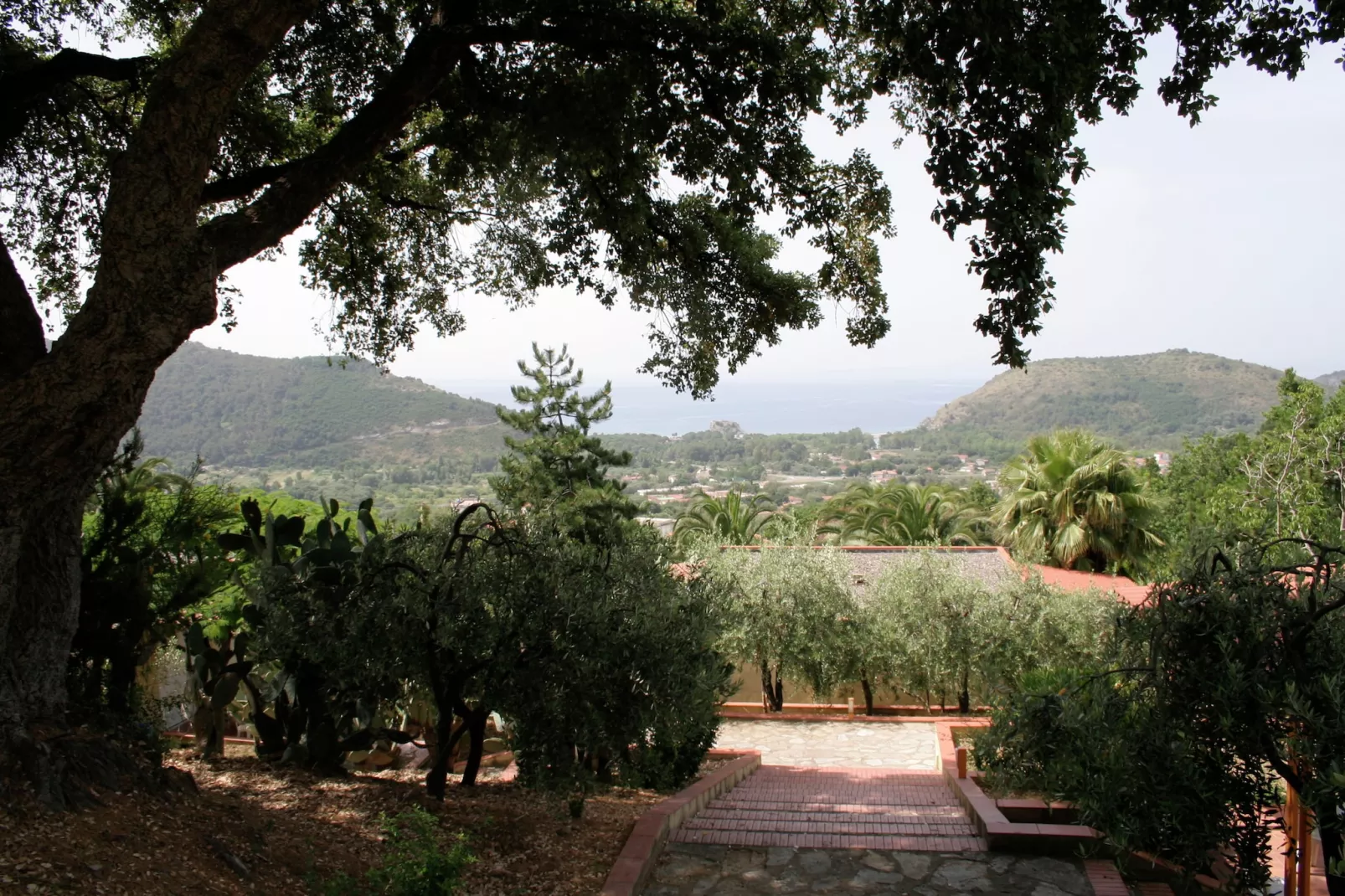 Casa Verde - View in summer