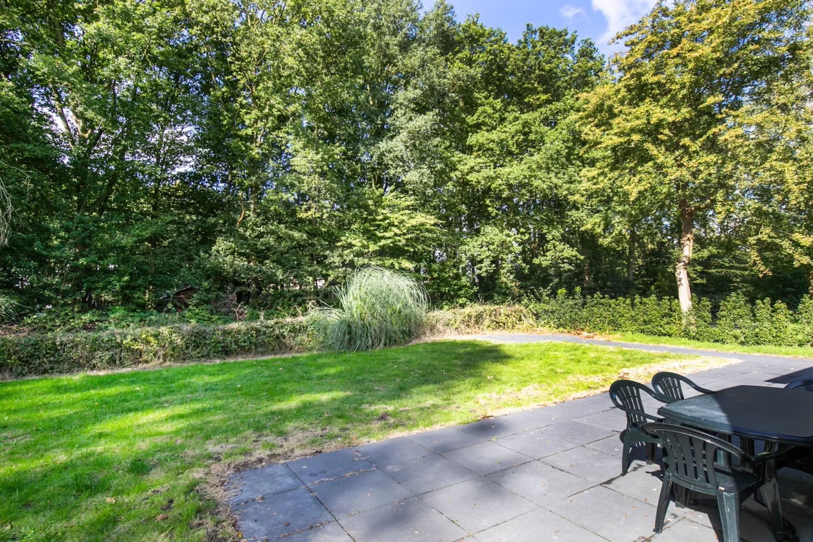 7 - Persoons Forest 217 Sauna Bungalow (copy) (copy) (copy) - Terrace balcony