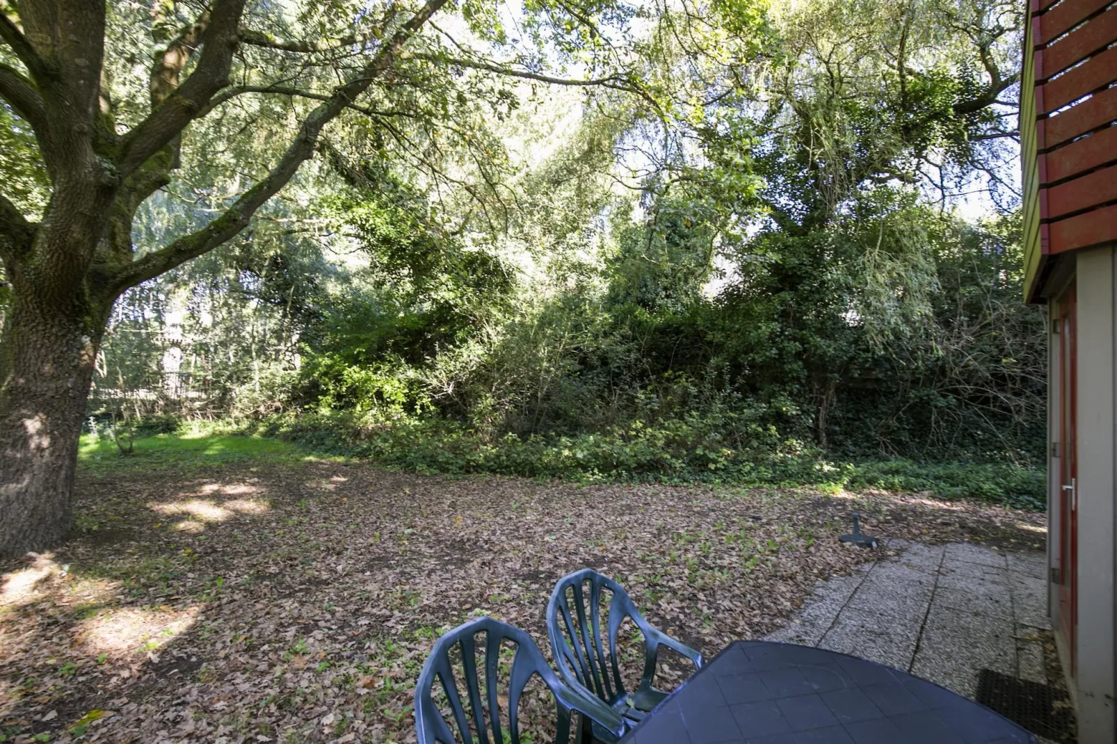 6 - Persons De Zingende Wilg (copy) (copy) - Jardins en été