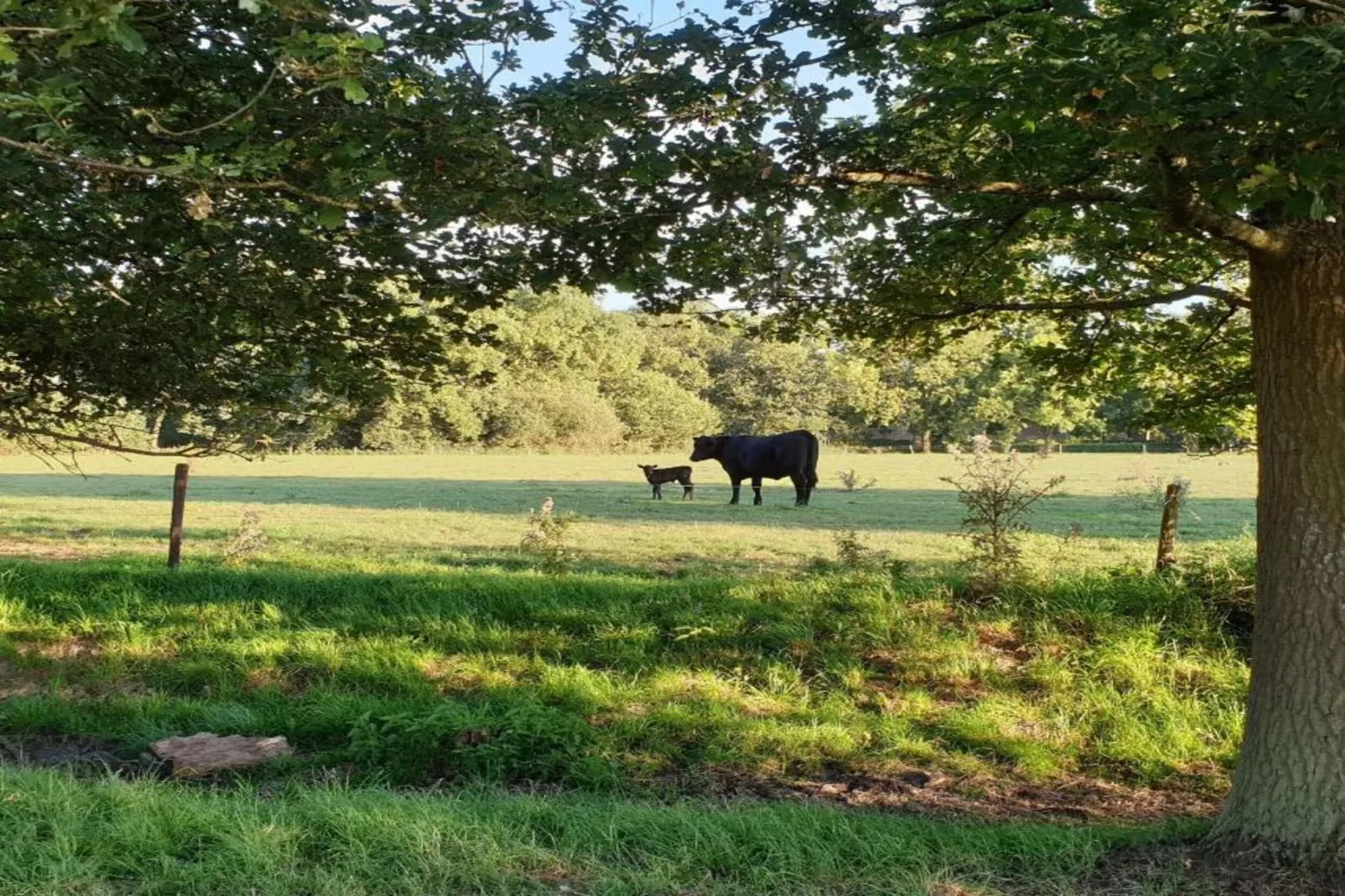 Vakantiepark 't Broeckhuys 6 - Gebiete Sommer 20 km
