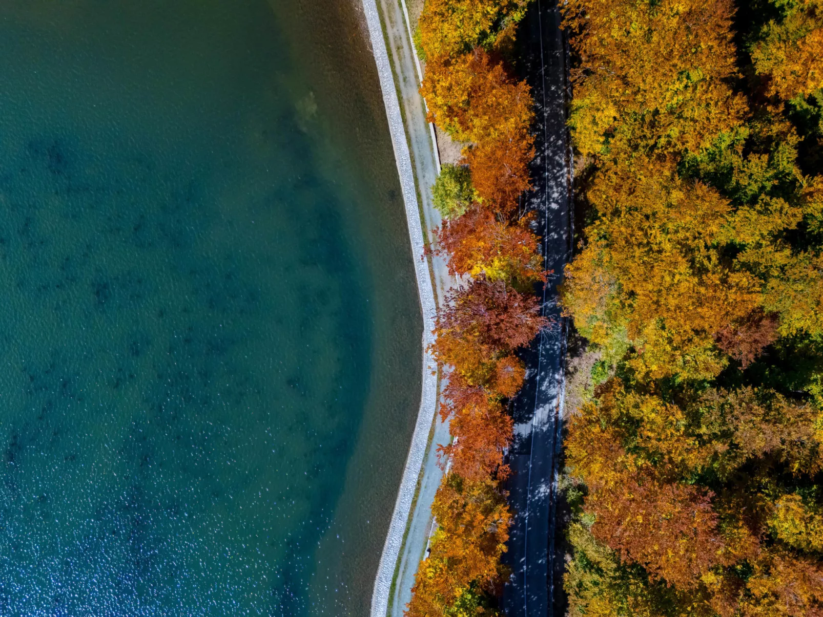 House Hillside Lodge - Draußen