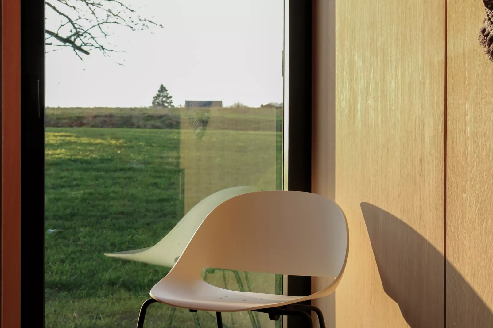 Arduenna Silva - View in summer