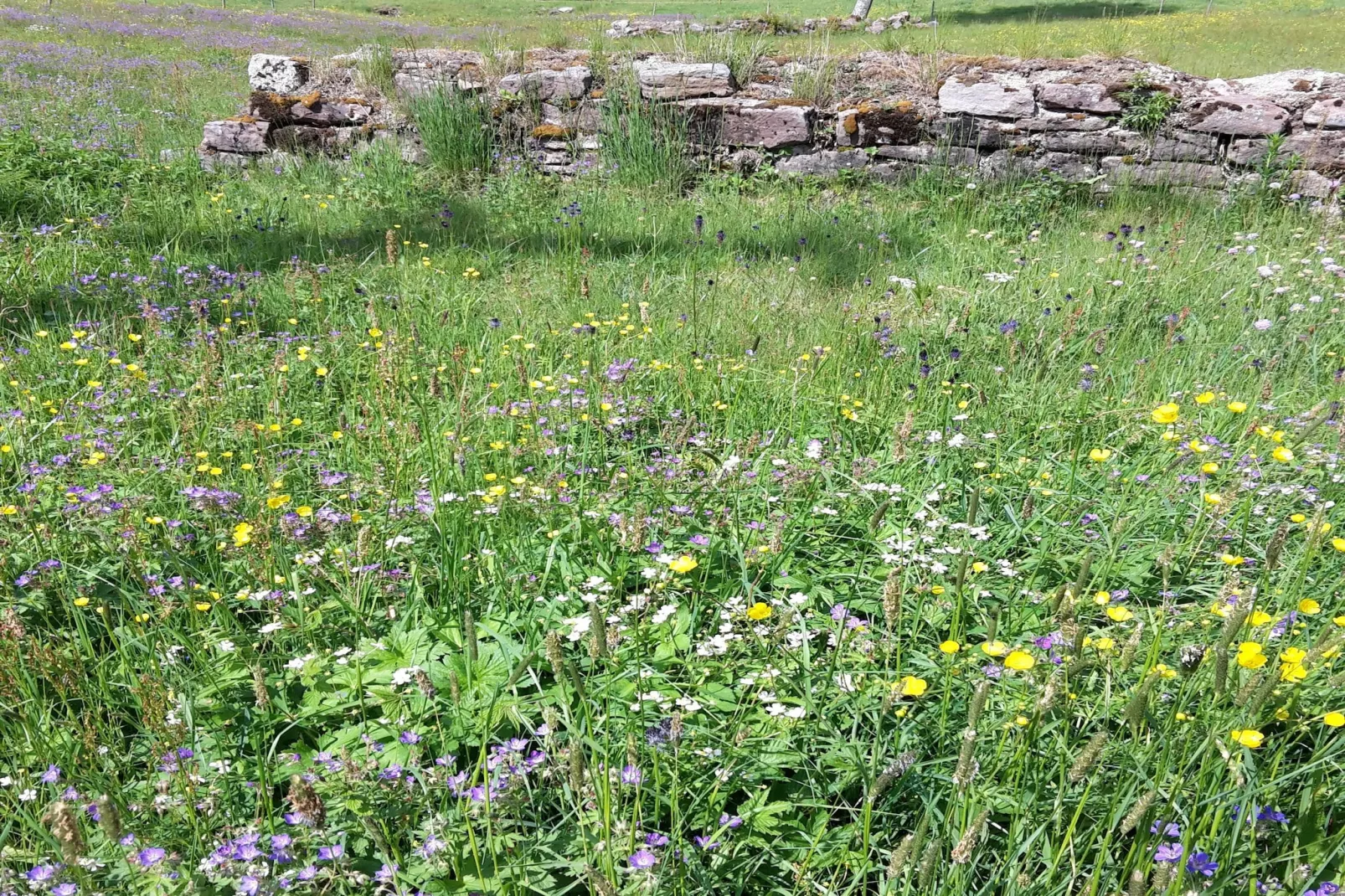 Zuckerbauernhof Weideblick - Zones été à 1 km