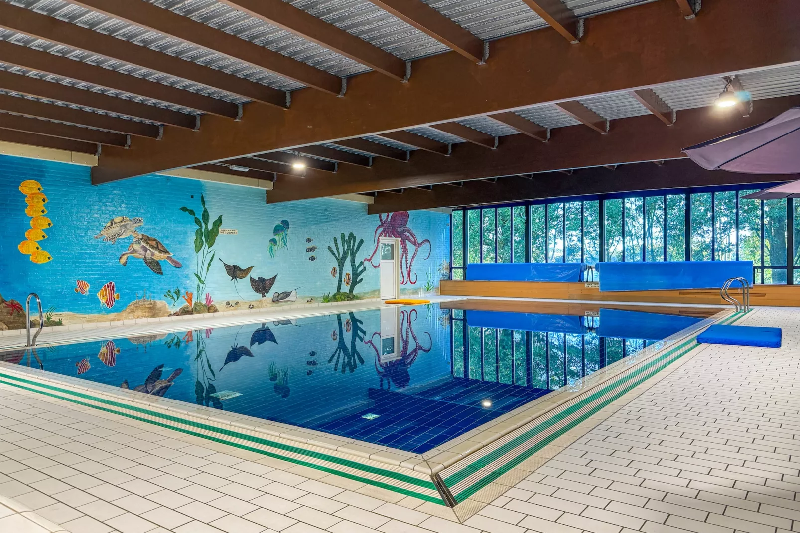 7 - Persoons Forest 217 Sauna Bungalow (copy) (copy) (copy) - Swimming pool