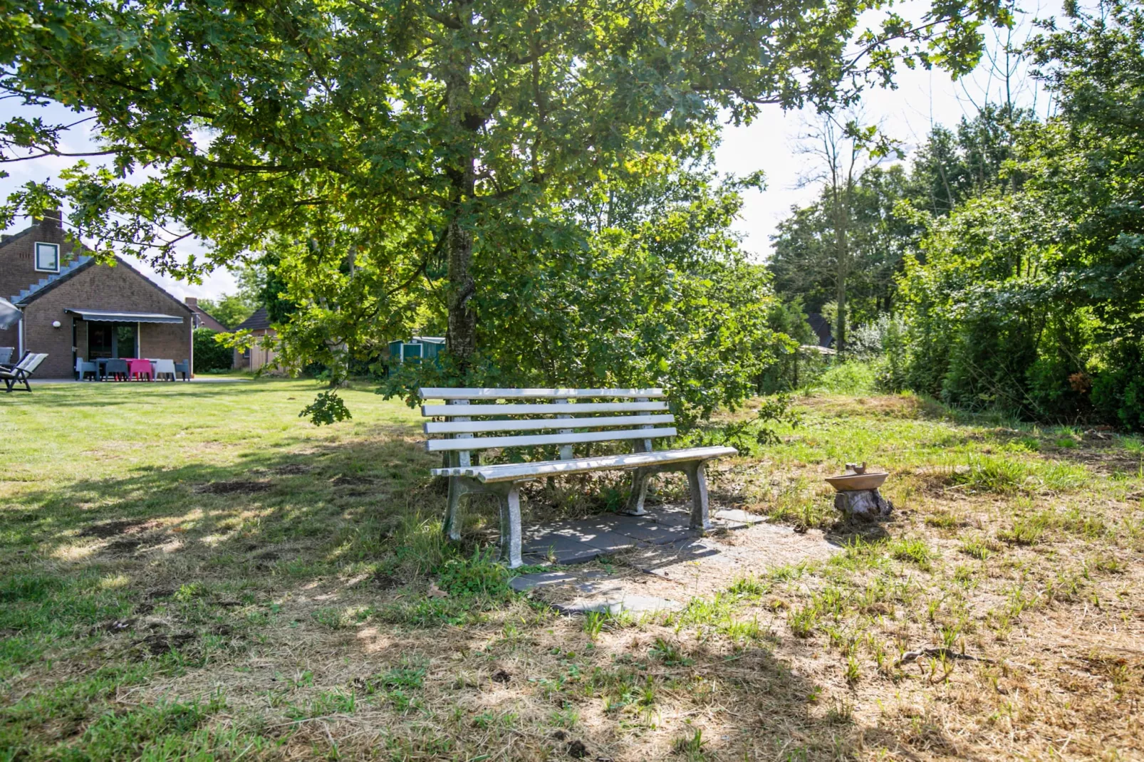 7 - Persoons Forest 217 Sauna Bungalow (copy) (copy) (copy) - Gardens in summer