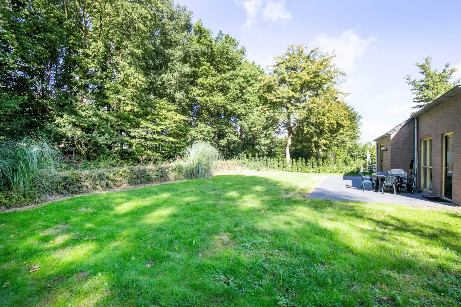 7 - Persoons Forest 217 Sauna Bungalow (copy) (copy) (copy) - Gardens in summer