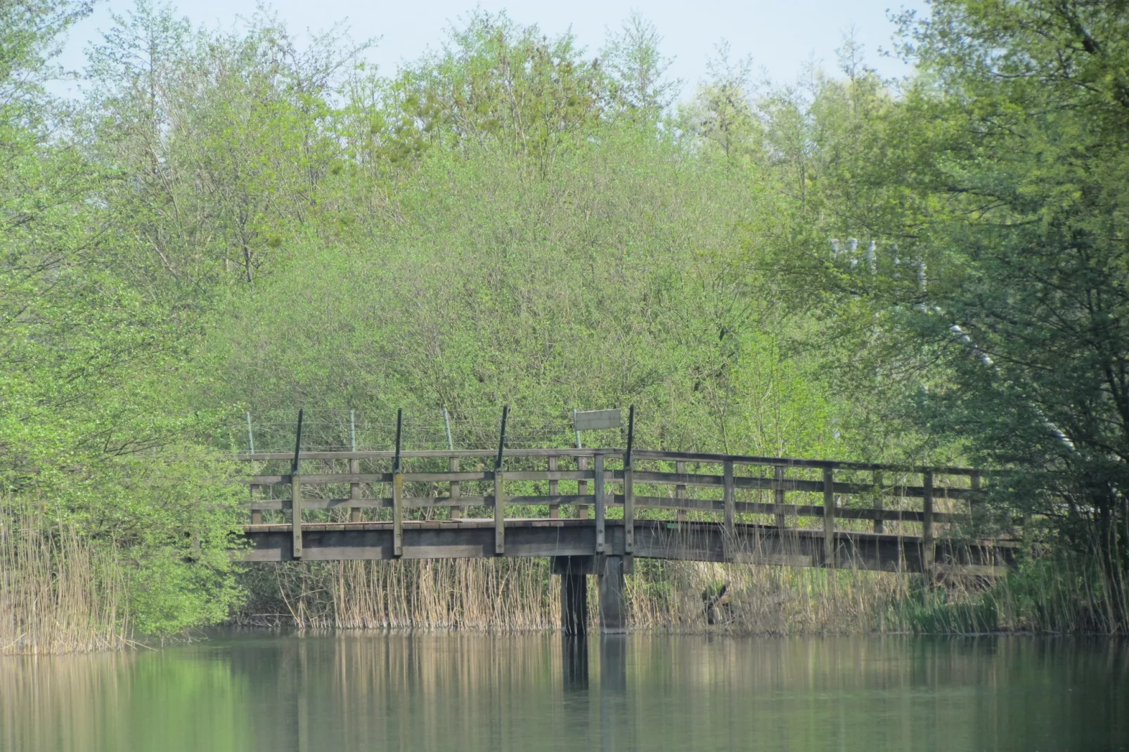 Vakantiepark 't Broeckhuys 1 - Gebiete Sommer 1 km