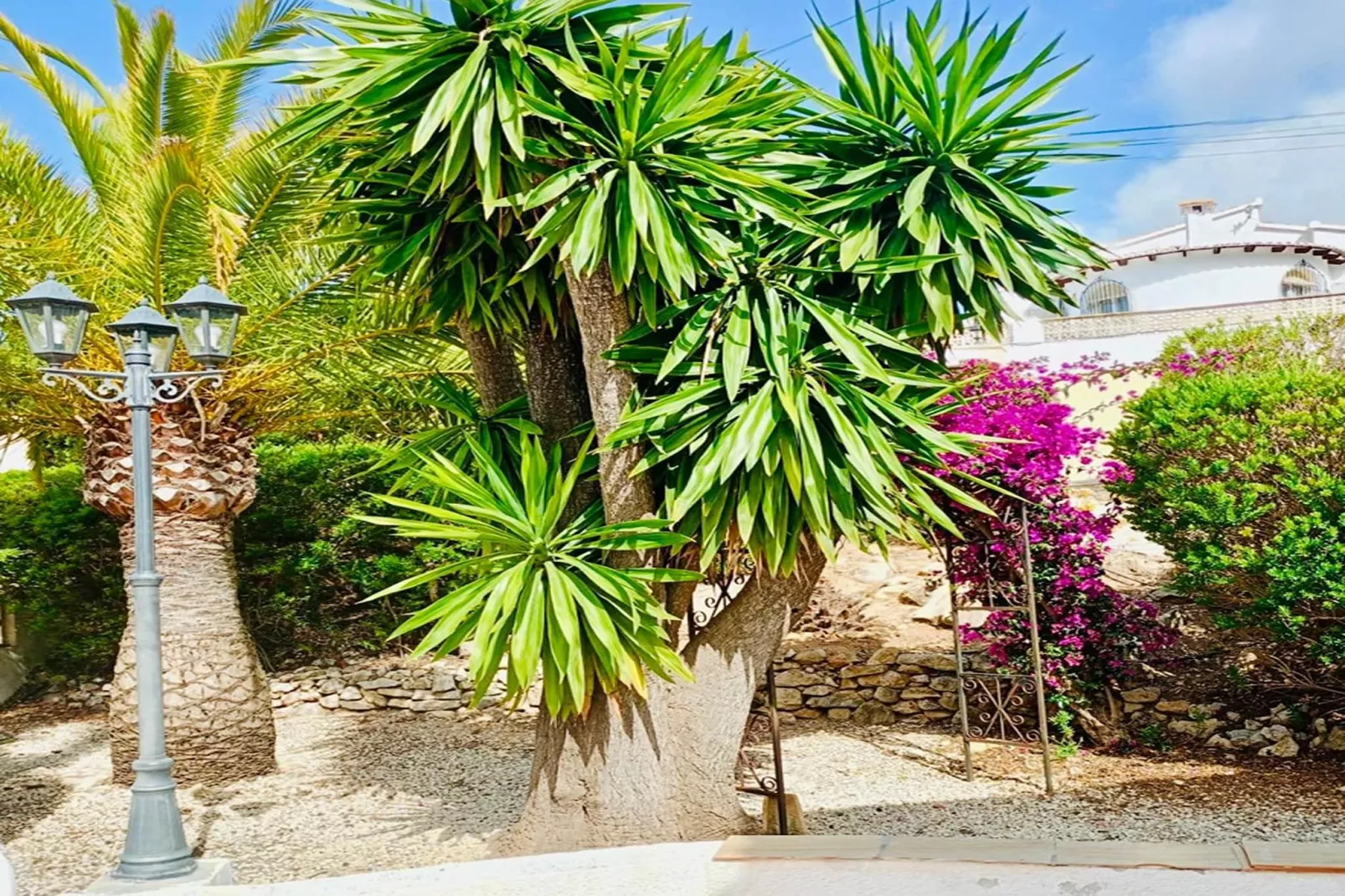 Casa Alegria - Jardins en été