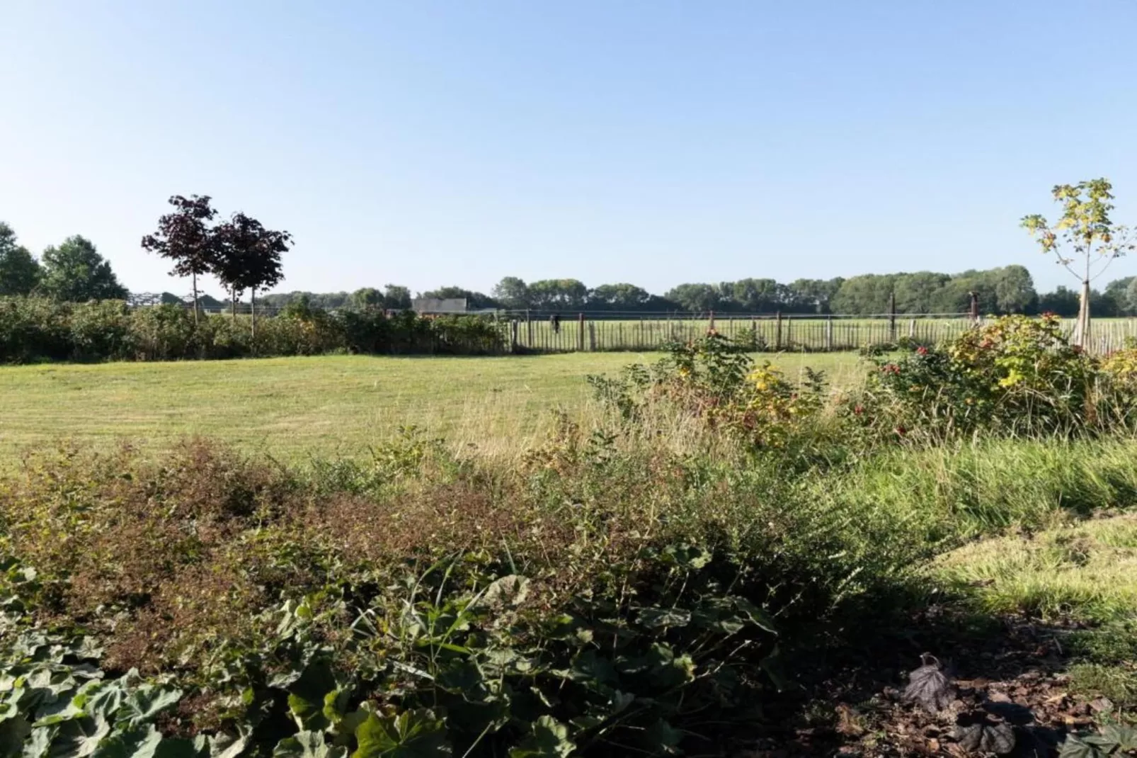 Vakantiepark 't Broeckhuys 7 - Gebiete Sommer 20 km
