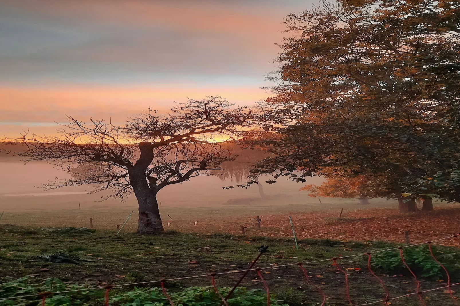 Zuckerbauernhof Weideblick - Zones été à 5 km