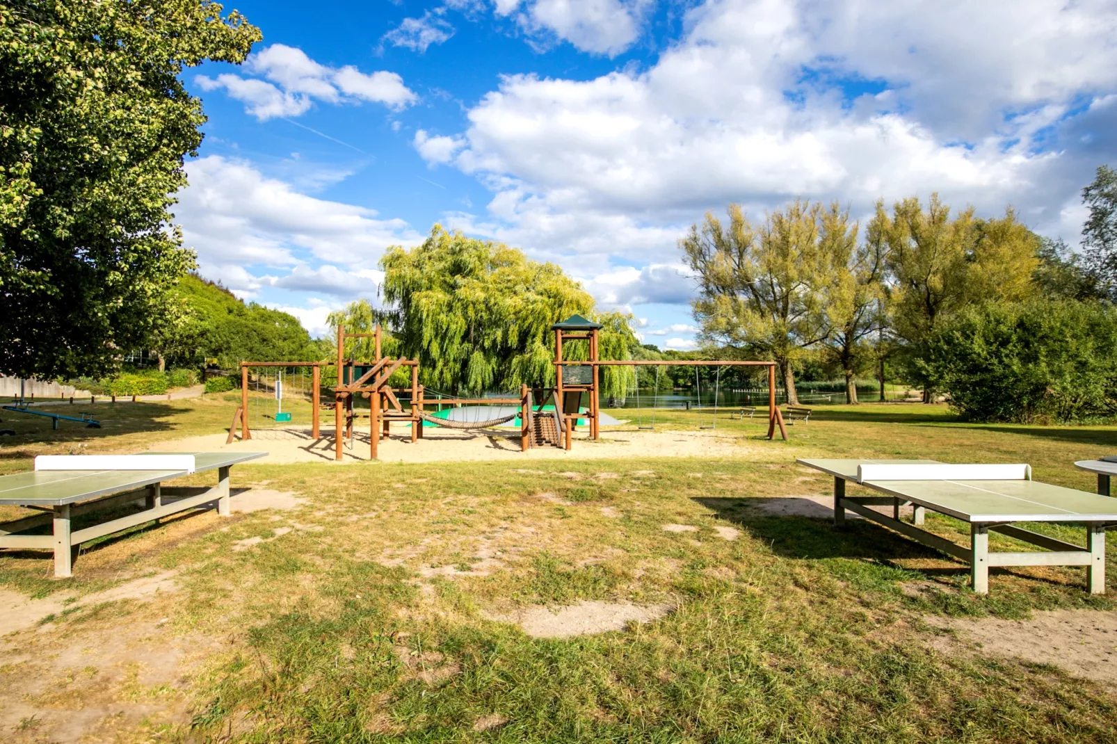 7 - Persoons Forest 217 Sauna Bungalow (copy) (copy) (copy) (copy) - Areas within 1km in summer