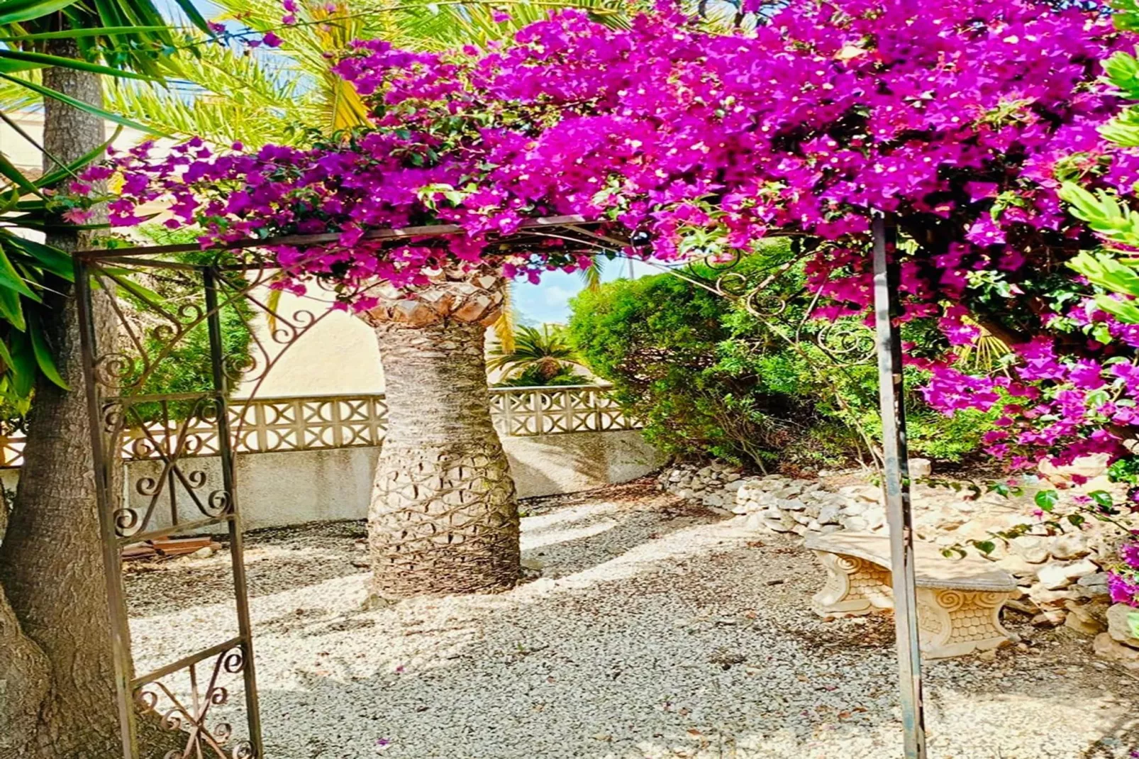 Casa Alegria - Jardins en été