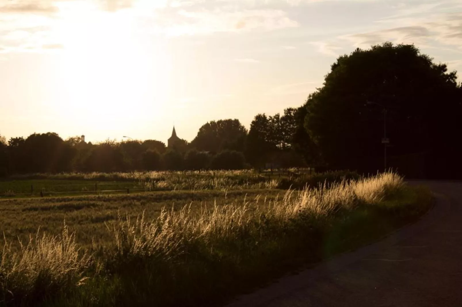 Vakantiepark 't Broeckhuys 7 - Gebiete Sommer 20 km