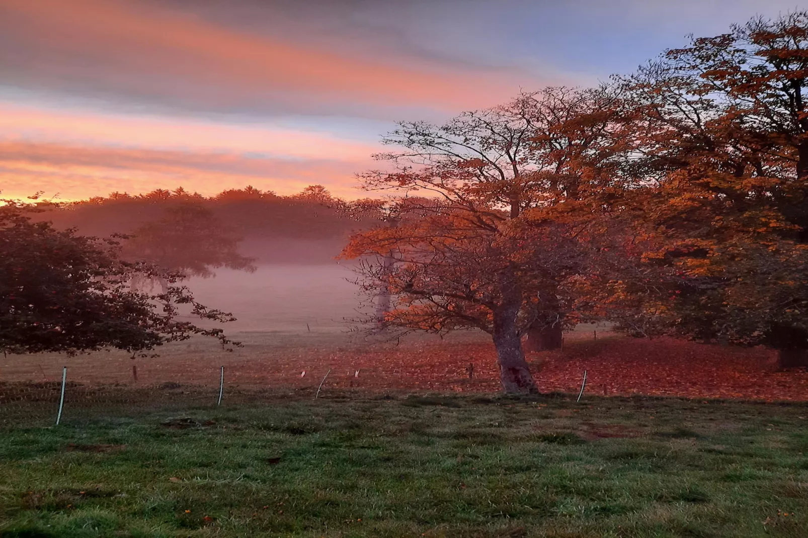 Zuckerbauernhof Weideblick - Zones été à 20 km
