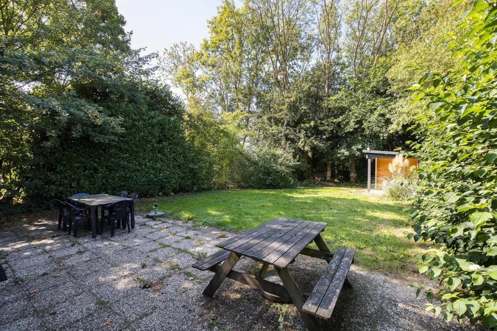 7 - Persoons Forest 217 Sauna Bungalow (copy) - Terrasse / balcon