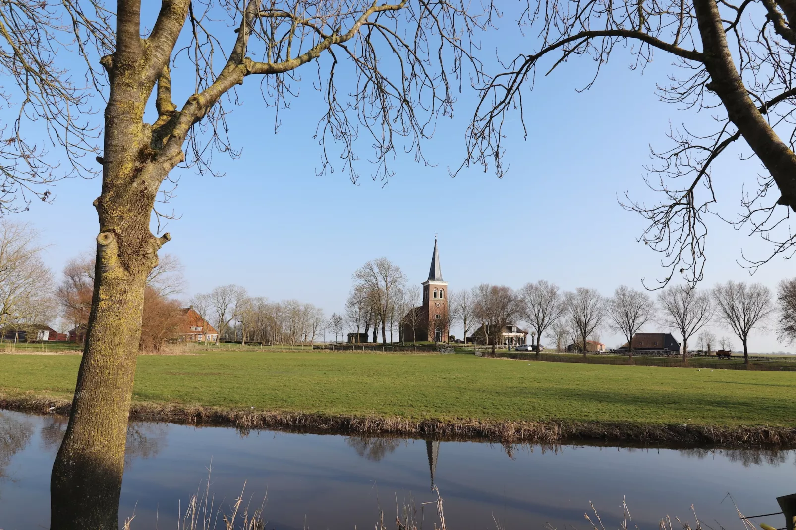 Moderne villa op het Friese platteland - View in summer