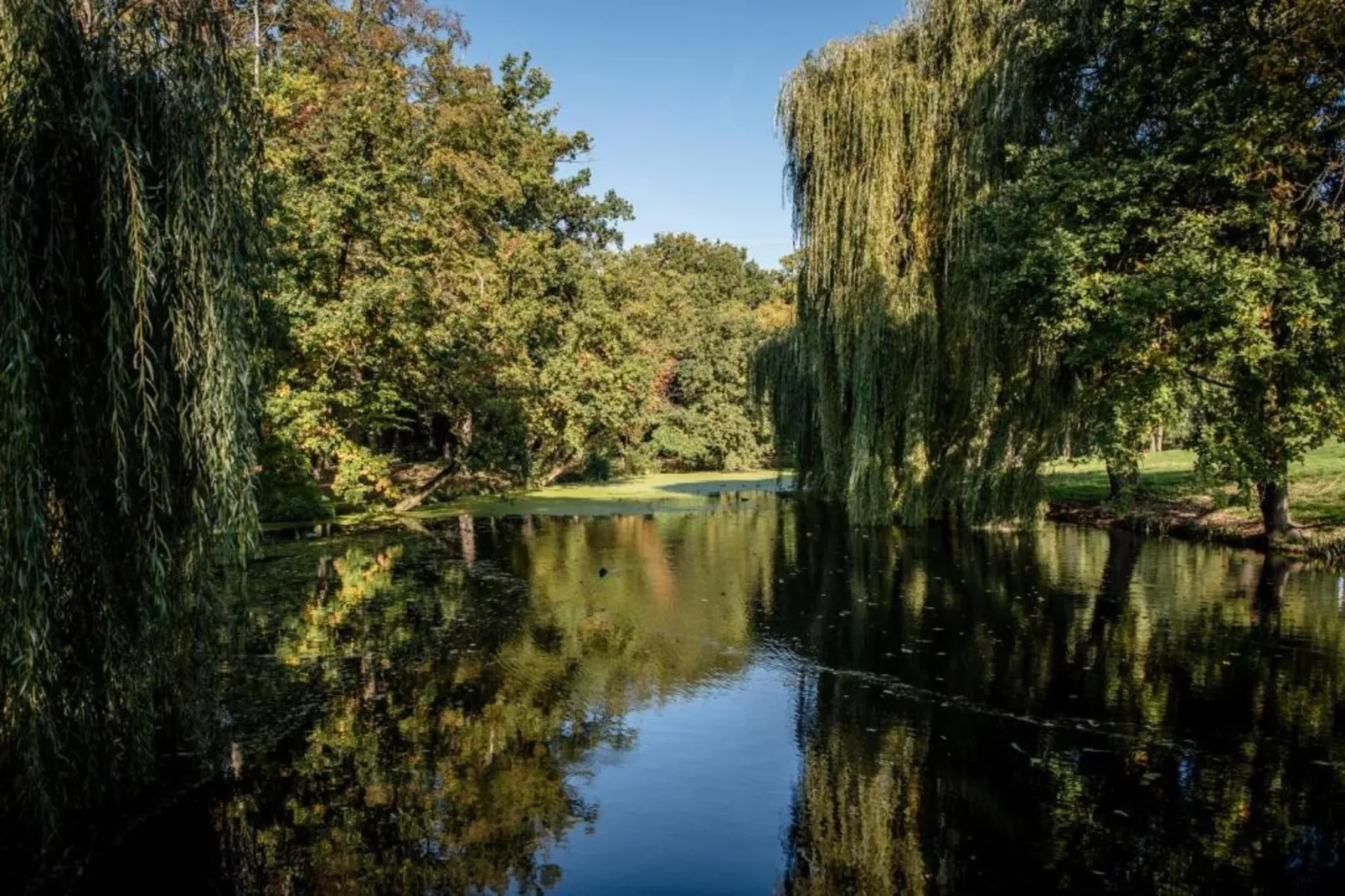 Vakantiepark 't Broeckhuys 7 - Gebiete Sommer 20 km