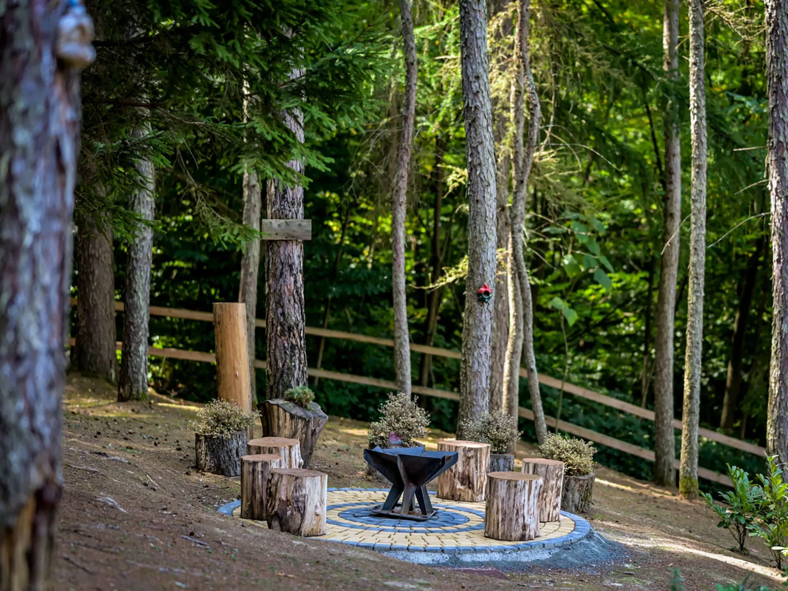 Pine Hill - Draußen