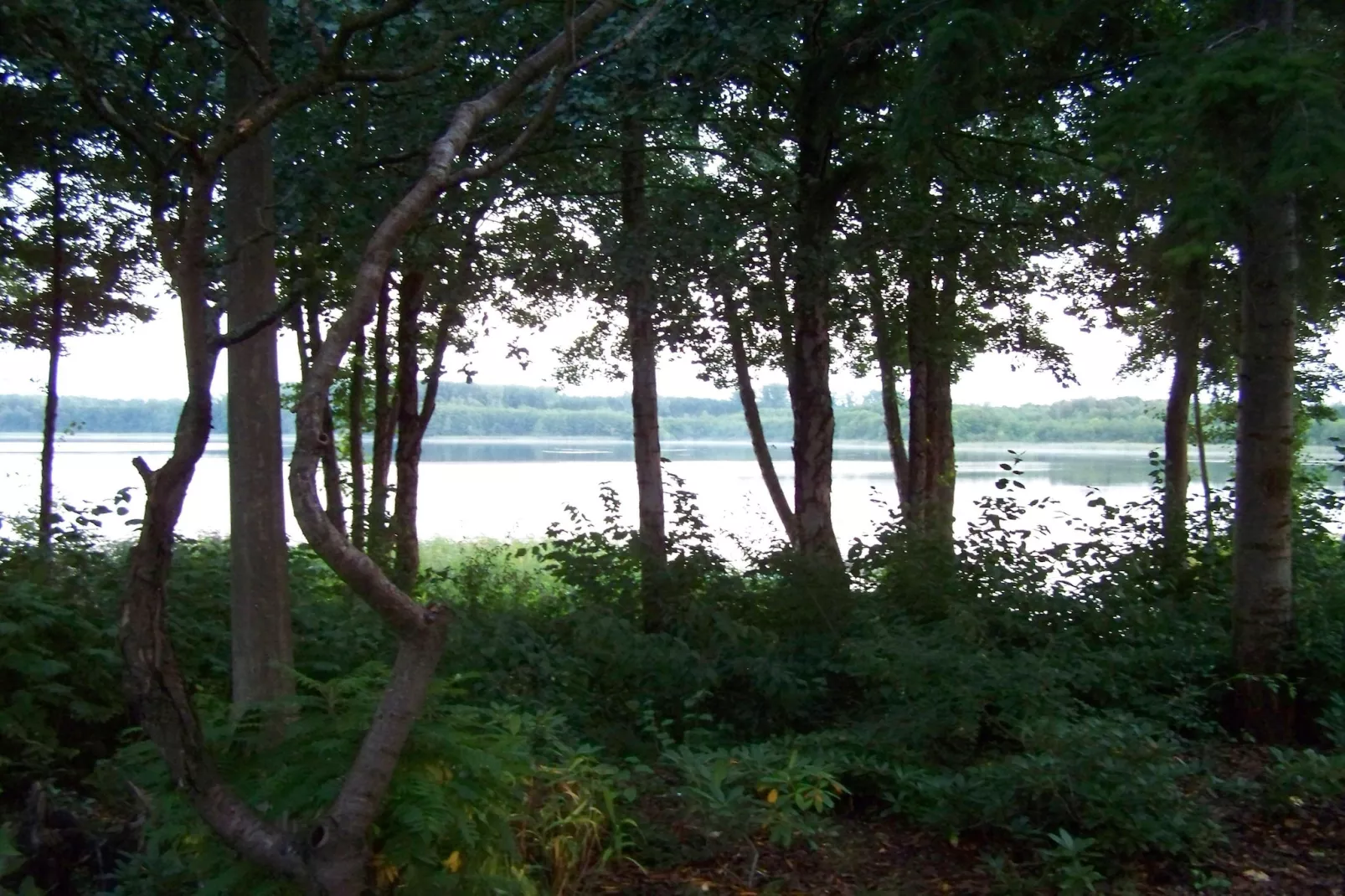 Fewo 06 4 P OG - Gebiete Sommer 1 km