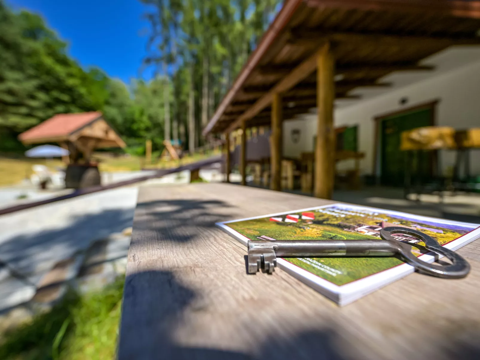 Pine Hill - Draußen